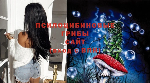 не бодяженный Богданович