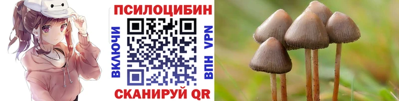 Галлюциногенные грибы ЛСД  Светогорск 