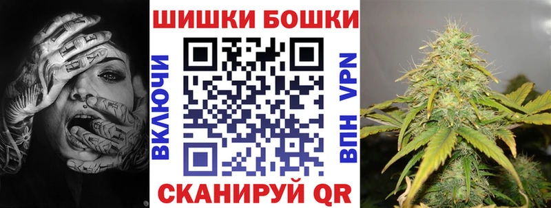 что такое   Светогорск  Бошки Шишки ГИДРОПОН 